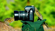 Randonnée et photo, pourquoi choisir un appareil hybride?